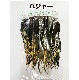 ����ʥ�� �����꡼�Х������ɥ롡���緿�ɥ饤�ե饤�ˡ�CN101��