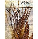 ����ʥ�� �����꡼�Х������ɥ롡���緿�ɥ饤�ե饤�ˡ�CN101��