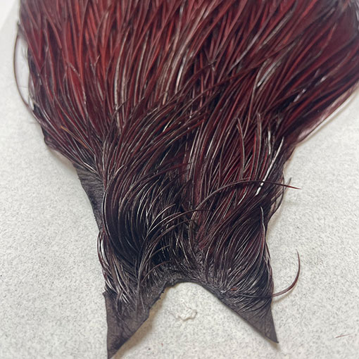 KEOUGH ハックルケープ ＃2 コーチマンブラウン(No.2)