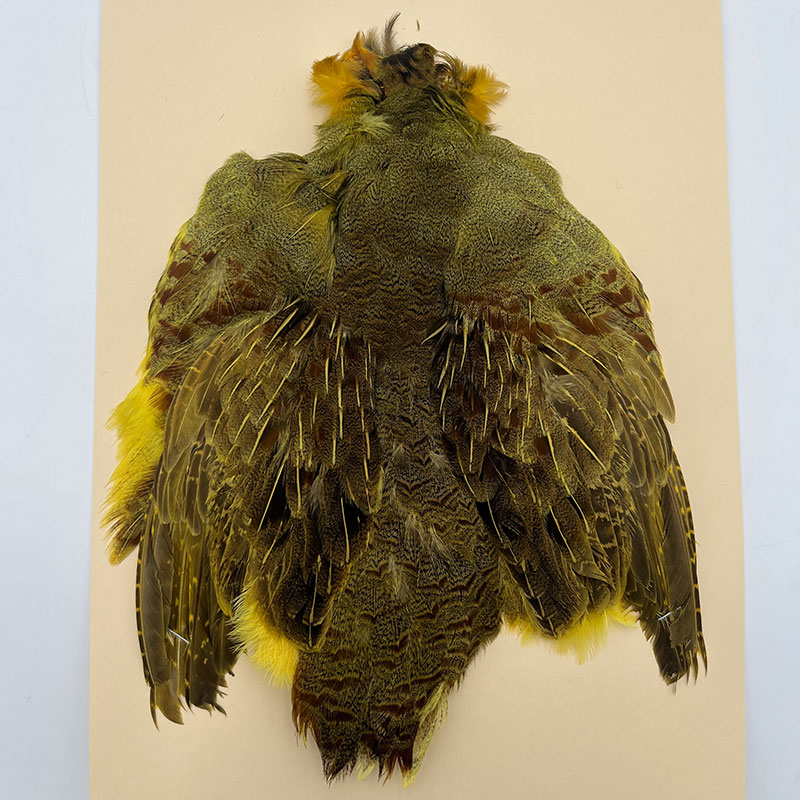 ʥ˥ϥ󥬥ꥢѡȥåץ꡼ȥ  (KC35 05)