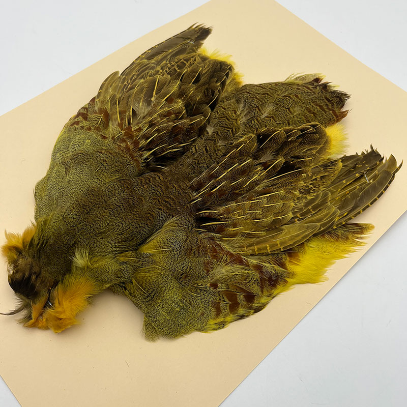 ʥ˥ϥ󥬥ꥢѡȥåץ꡼ȥ  (KC35 05)