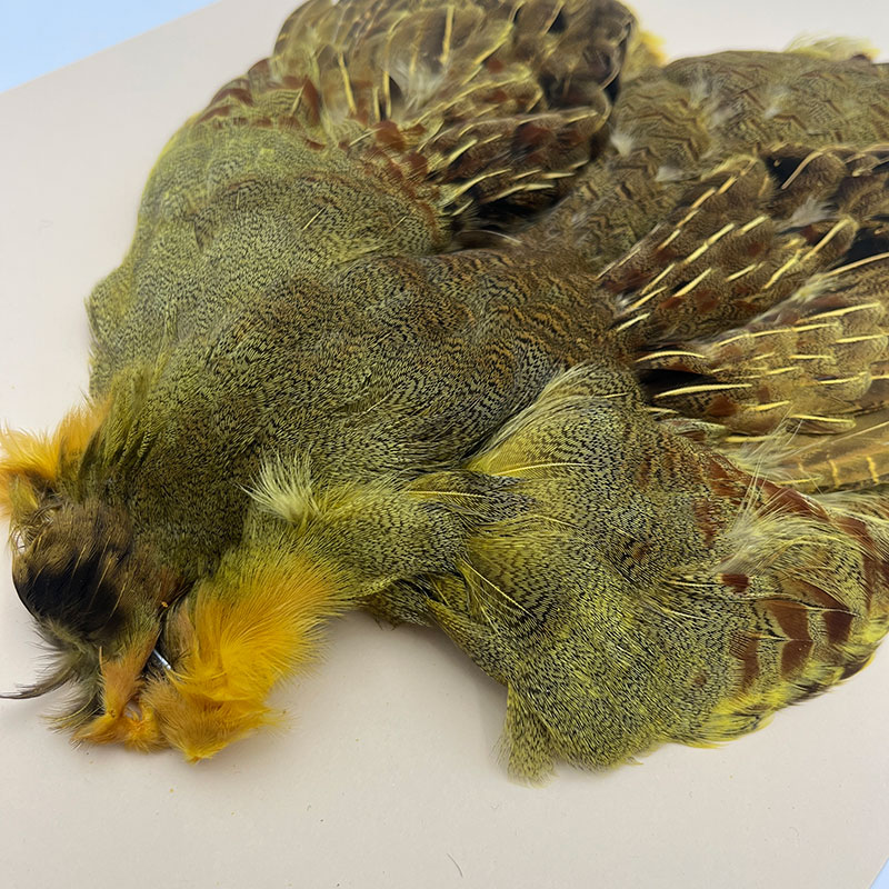 ʥ˥ϥ󥬥ꥢѡȥåץ꡼ȥ  (KC35 05)