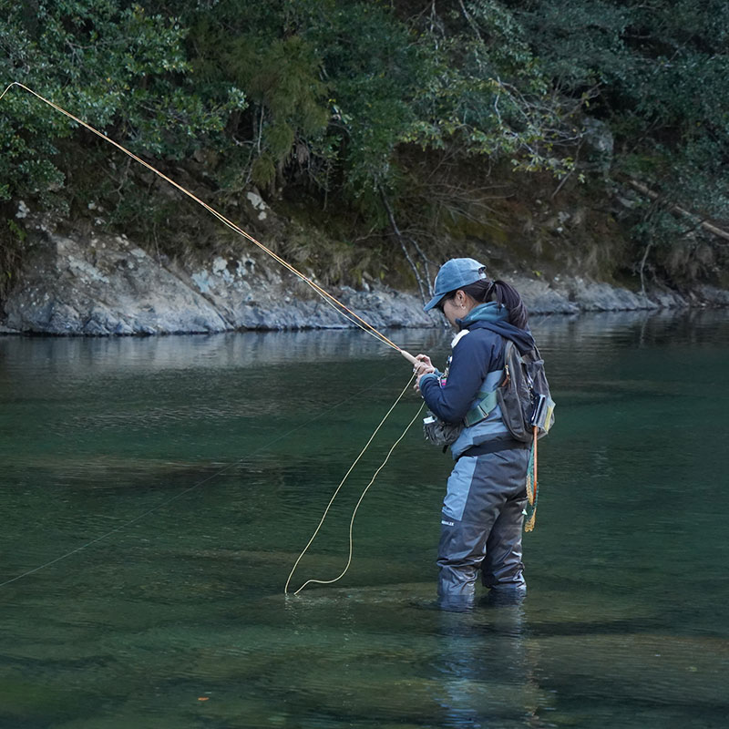 AQUAZ �����ʥ����������� ��Ķ����3�쥤�䡼���ϡ�