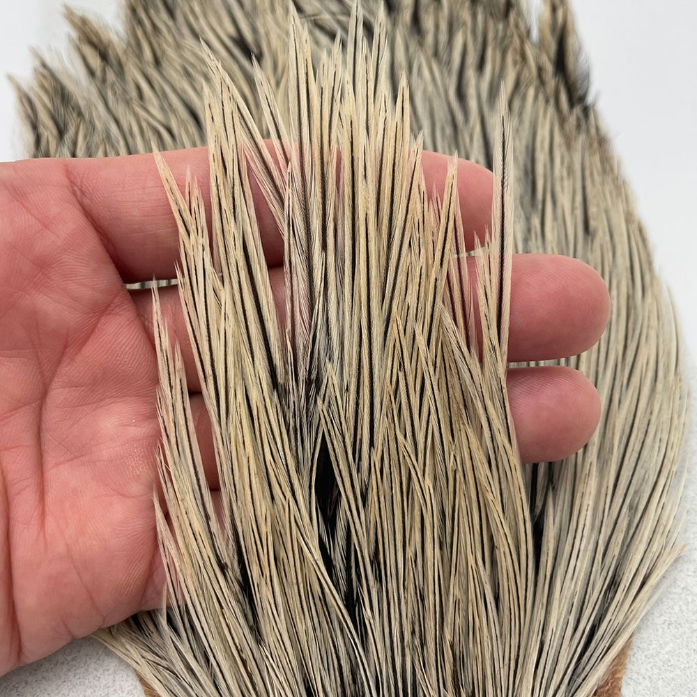 メッツ 未使用 グレード1　ハックル バジャー メッツ 未使用 グレード1 ハックル バジャー