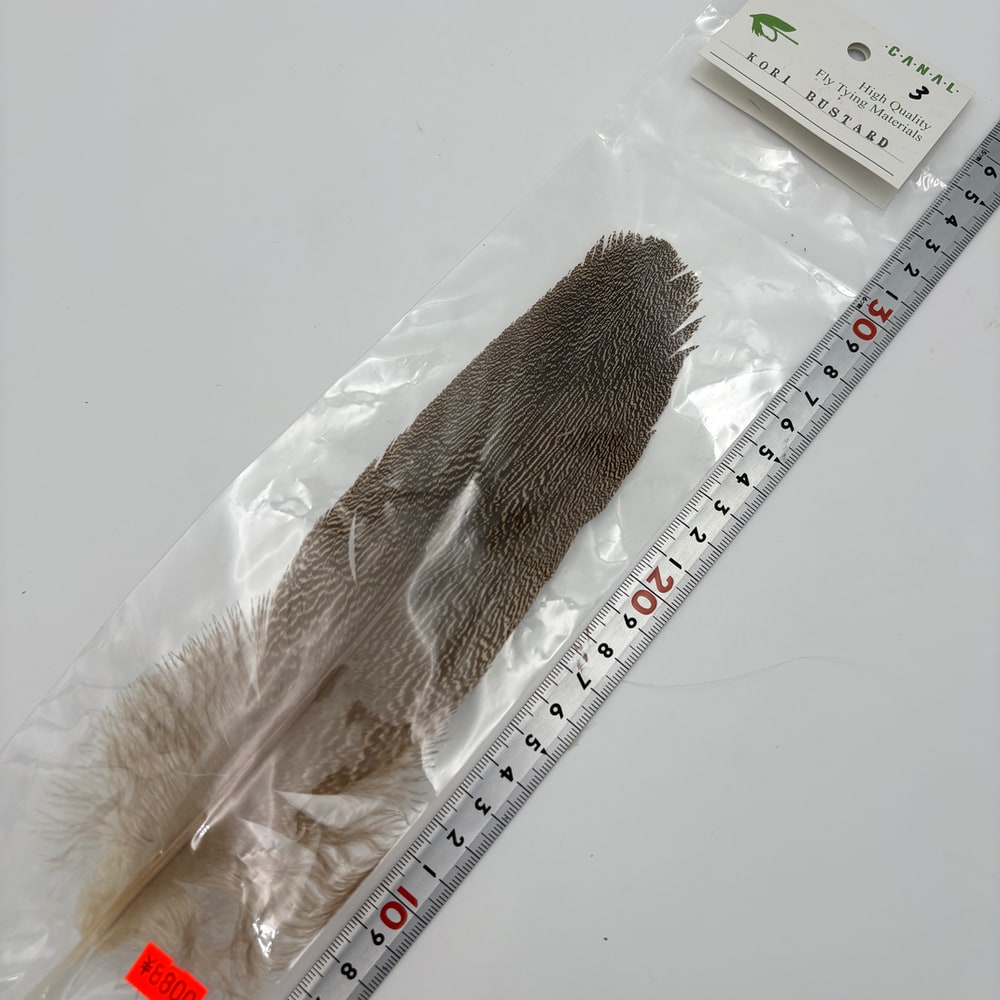 CANALҡ꡼Хɥ (8,000)