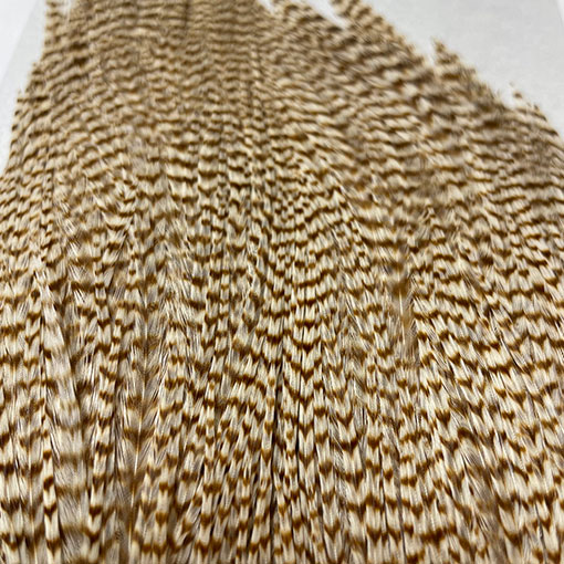 KEOUGH ハックルケープ ＃2 グリズリージンジャー No.1