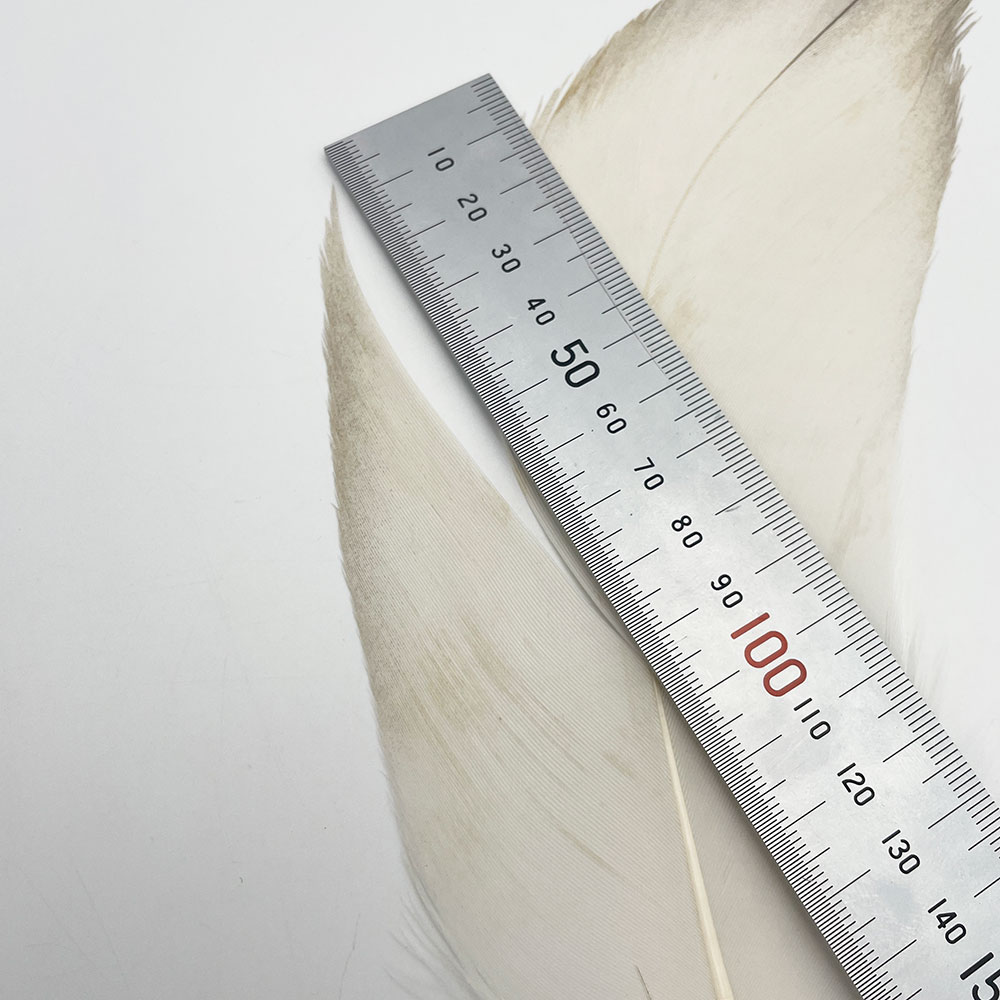 CANAL�ҡ��ۥ磻�ȥХ������ɥ����� 8/0 - (��쥢)��No.1