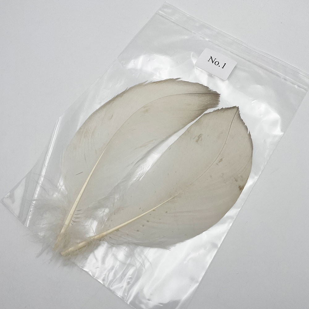 CANAL�ҡ��ۥ磻�ȥХ������ɥ����� 8/0 - (��쥢)��No.1