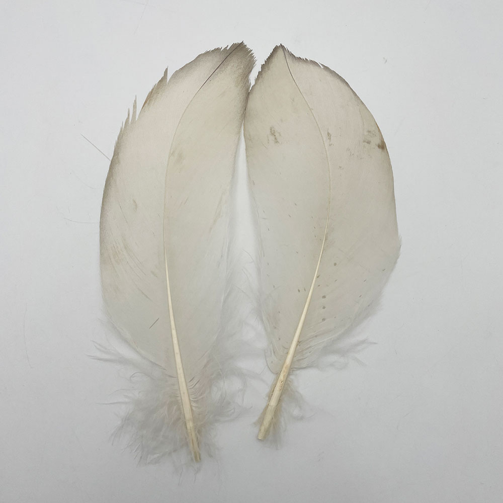 CANAL�ҡ��ۥ磻�ȥХ������ɥ����� 8/0 - (��쥢)��No.1