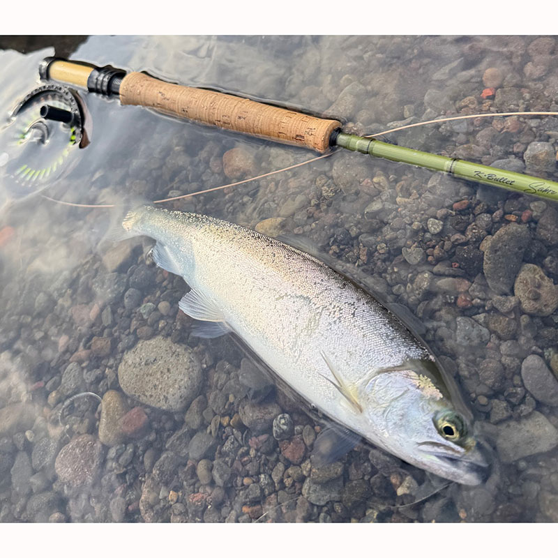 �ƥ��ڥåȤ򸫤��ʤ������INSTA SINK GEL�ץ��󥹥����󥯥�����  [ISG01]