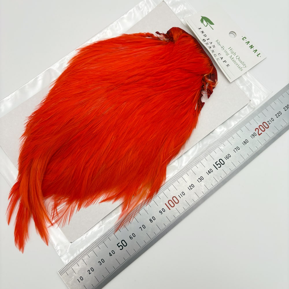 CANAL�ҡ�����ǥ����󥱡��� �ʥ����ɡ�