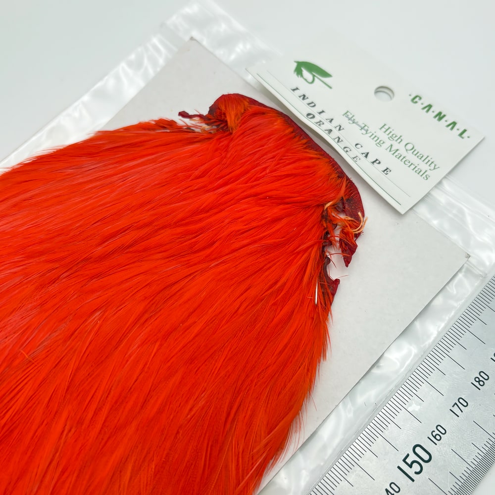 CANAL�ҡ�����ǥ����󥱡��� �ʥ����ɡ�