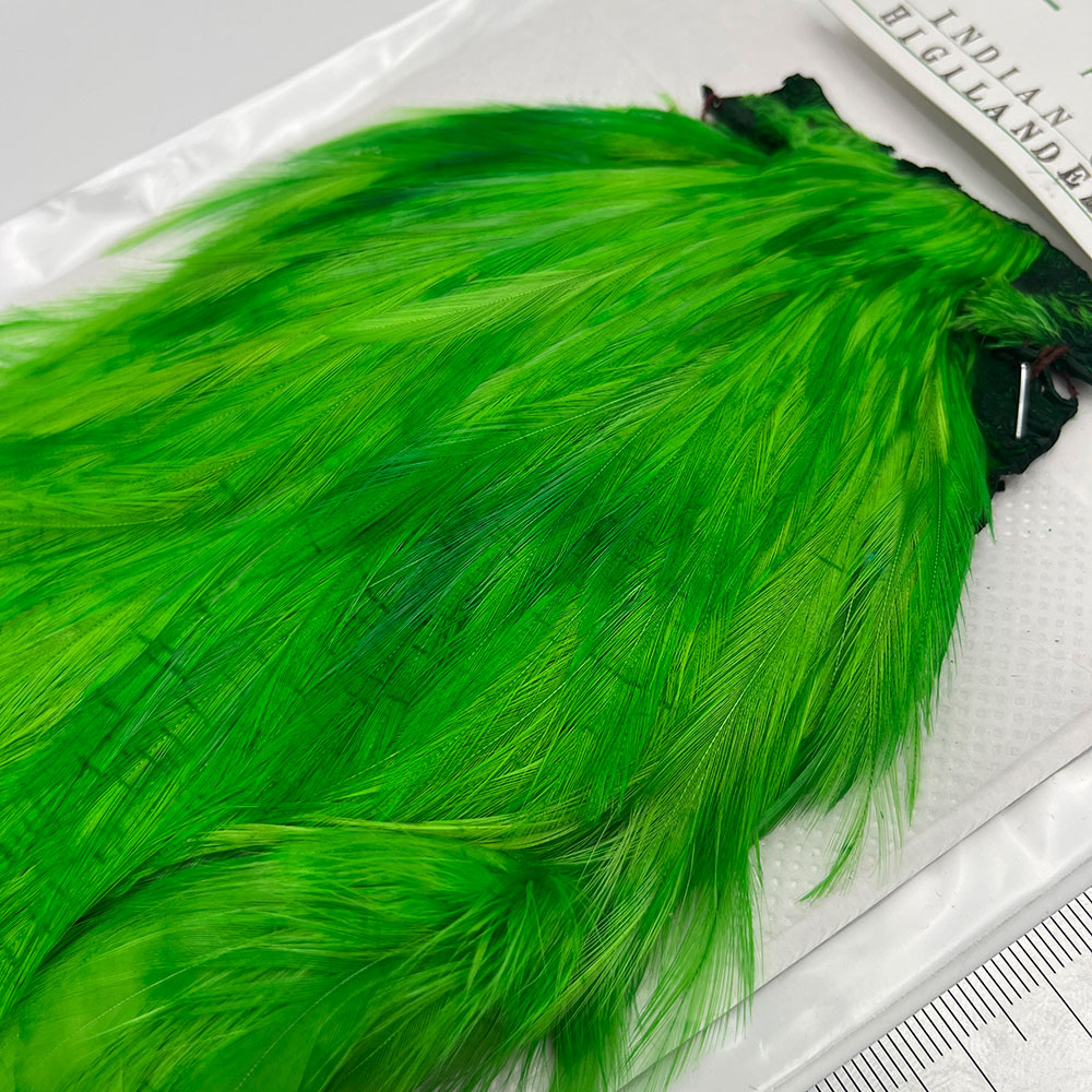 CANAL�ҡ�����ǥ����󥱡��� �ʥ����ɡ�