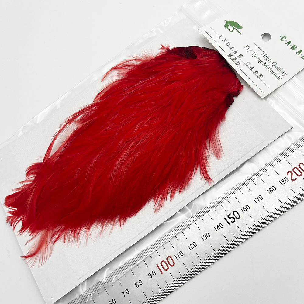 CANAL�ҡ�����ǥ����󥱡��� �ʥ����ɡ�