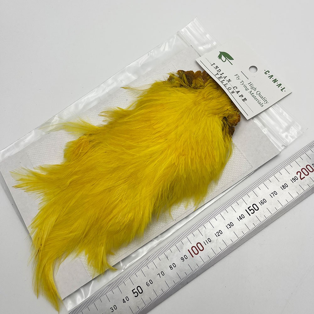 CANAL�ҡ�����ǥ����󥱡��� �ʥ����ɡ�