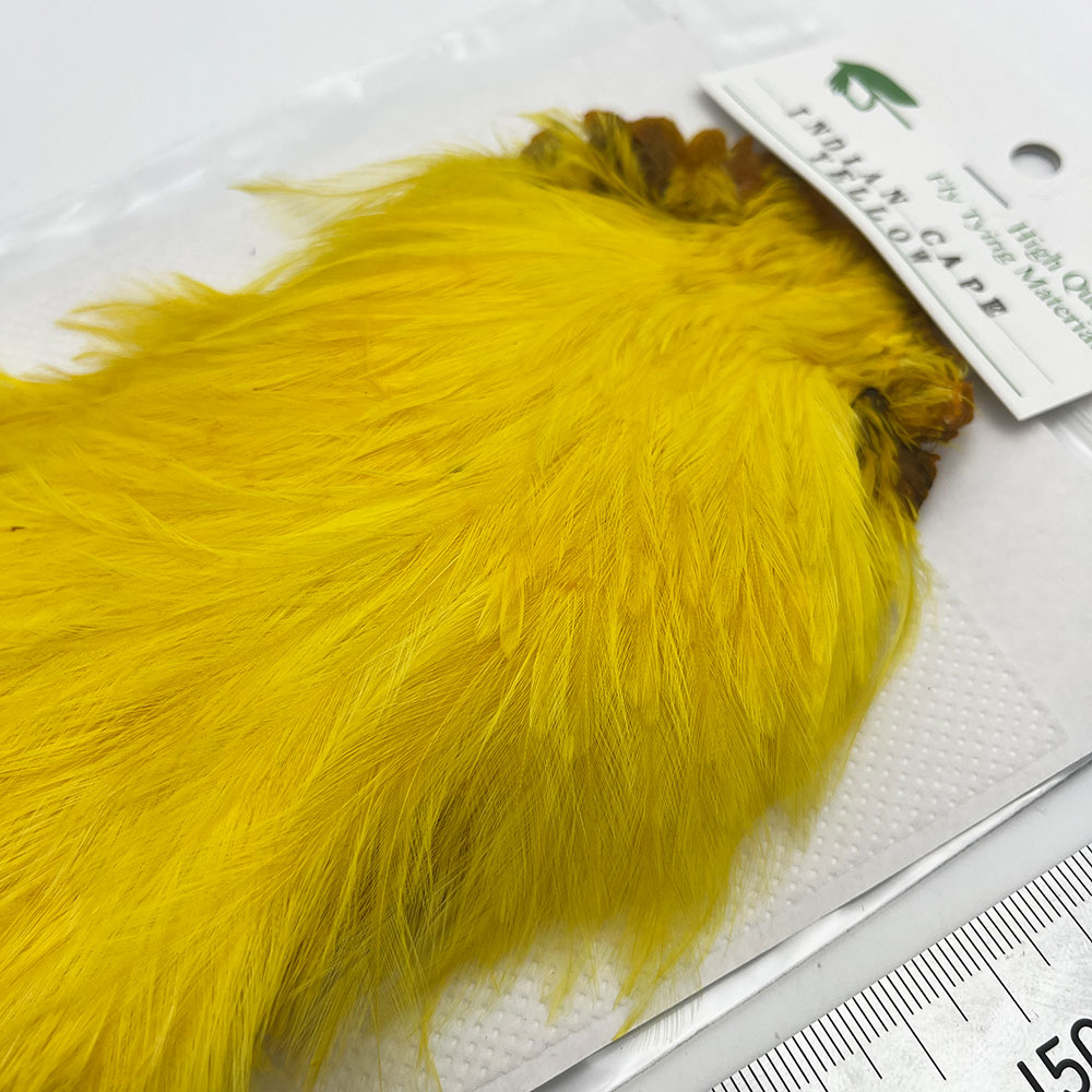 CANAL�ҡ�����ǥ����󥱡��� �ʥ����ɡ�