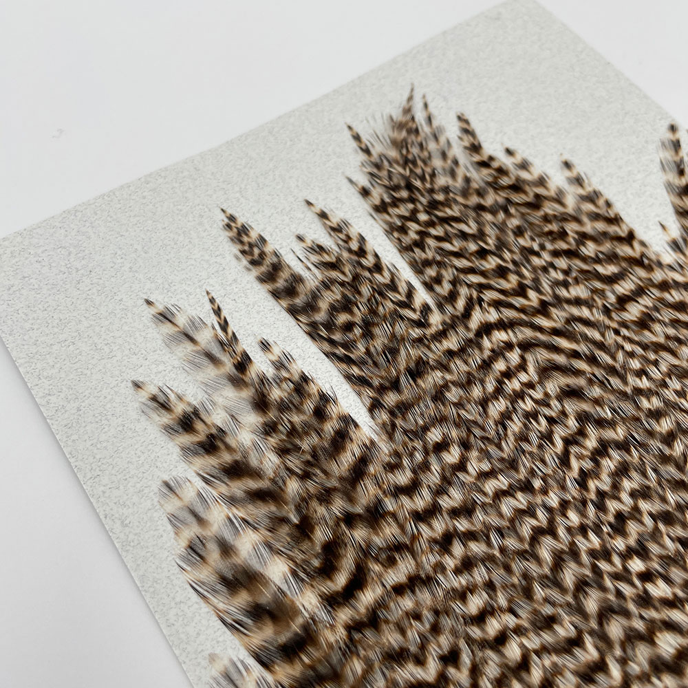 KEOUGH �ϥå��륱���ס����������ꥺ�꡼�����CANAL�������顼�ˡ�No.3