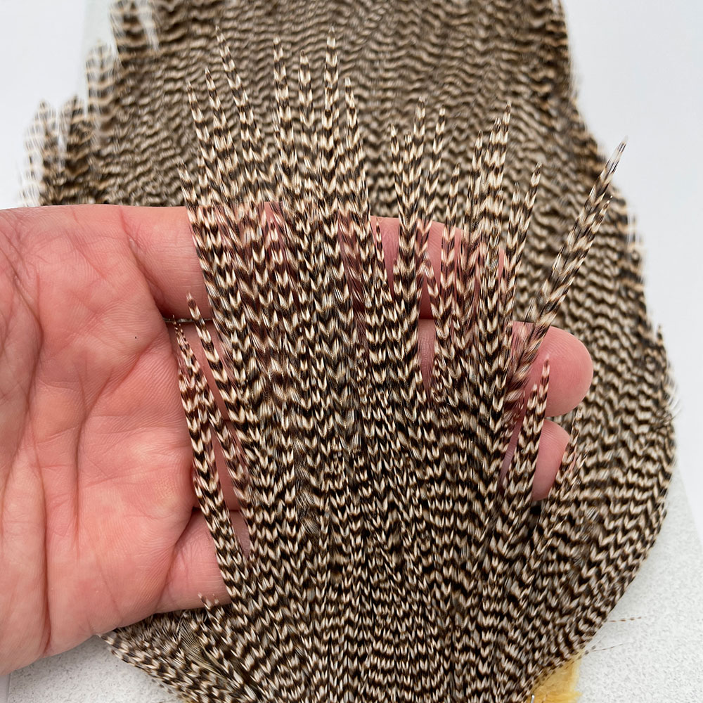 KEOUGH �ϥå��륱���ס����������ꥺ�꡼�����CANAL�������顼�ˡ�No.3