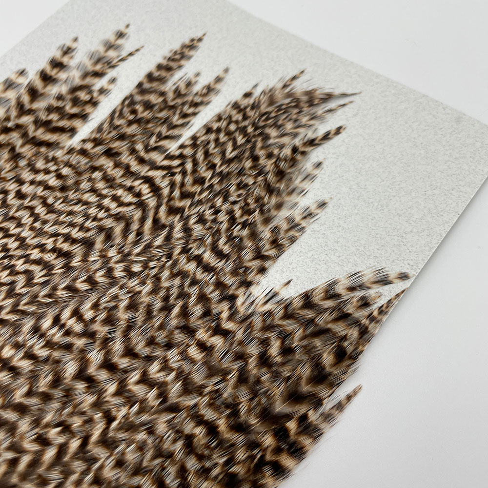 KEOUGH �ϥå��륱���ס����������ꥺ�꡼�����CANAL�������顼�ˡ�No.3