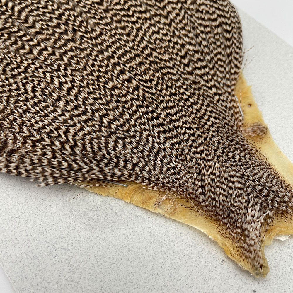 KEOUGH �ϥå��륱���ס����������ꥺ�꡼�����CANAL�������顼�ˡ�No.3