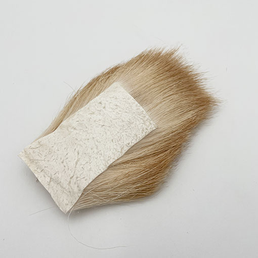 ����ʥ�ҡ�EZO���ǥ������֥꡼����[CN150]