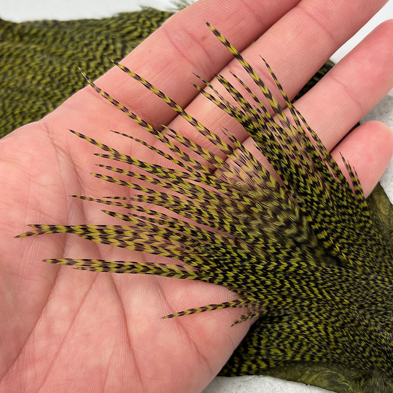 KEOUGH ハックルケープ ＃2 グリズリー オリーブ(No.1)