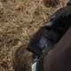 ON THE WATER - Explorer Wading Shoes