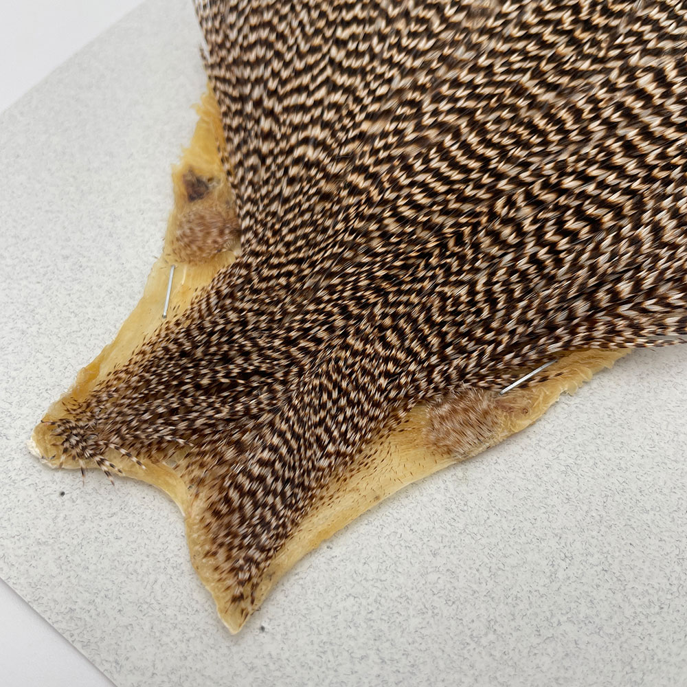 KEOUGH �ϥå��륱���ס����������ꥺ�꡼����No.1