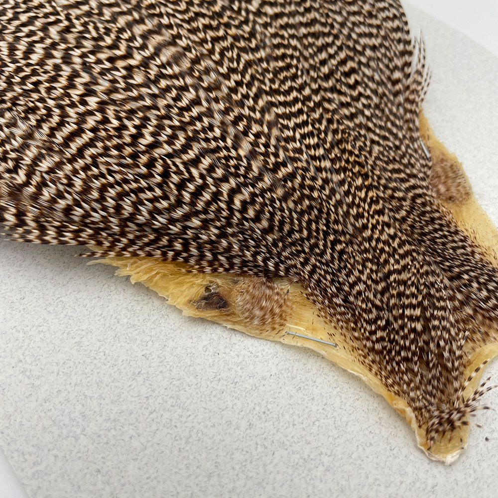 KEOUGH �ϥå��륱���ס����������ꥺ�꡼����No.1