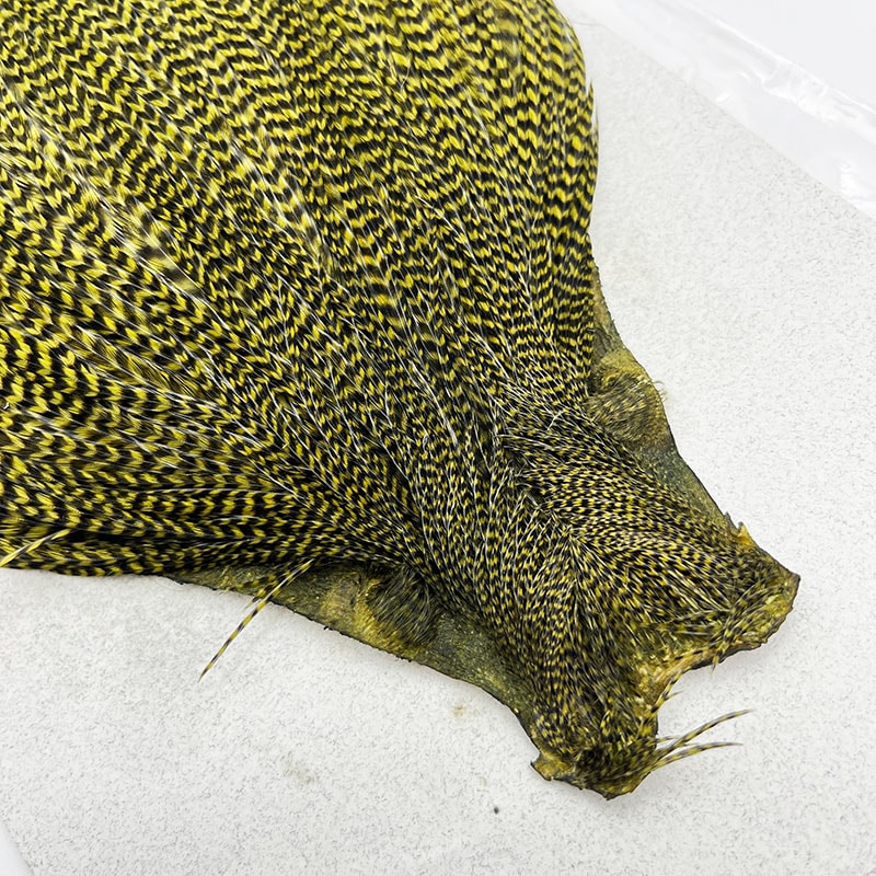 KEOUGH ハックルケープ ＃2 グリズリー オリーブ(No.2)