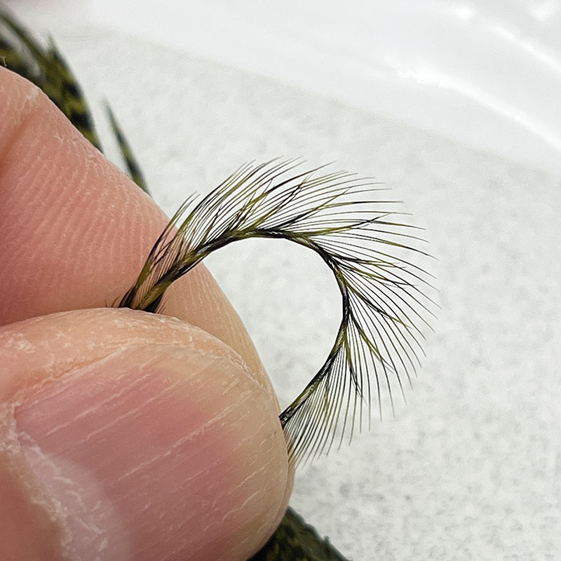 KEOUGH ハックルケープ ＃2 グリズリー オリーブ(No.2)