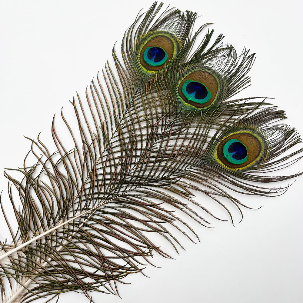 iroca 浴衣 peacock eye black ピーコックアイ セオα iroca 浴衣 peacock eye black ピーコックアイ セオα