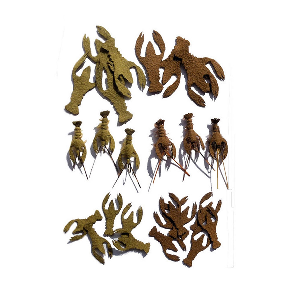 Fish Skull���������ܥǥ���