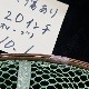ʾòSUGISAKA NET꡼20ͥåȡץСåС(꡼)