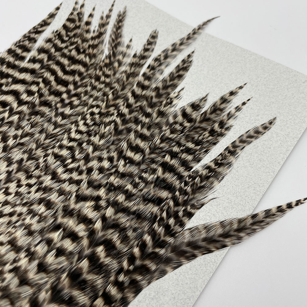 KEOUGH �ϥå��륱���ס����� ���ꥺ�꡼��No.4)