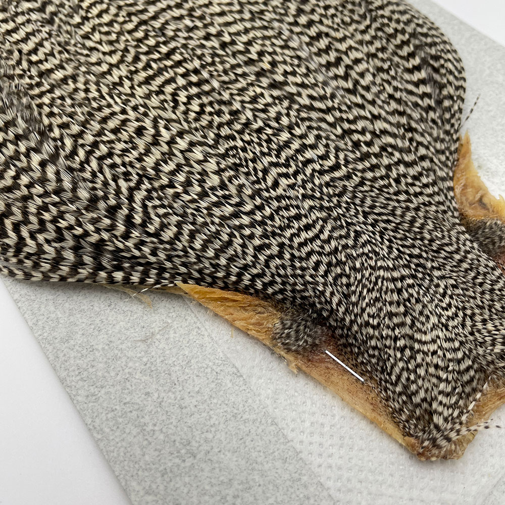 KEOUGH �ϥå��륱���ס����� ���ꥺ�꡼��No.4)