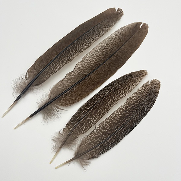 CANAL�ҡ����ڥå���ɥե�����ȥơ��� ��3500�ߥ��졼�ɡ� CN130