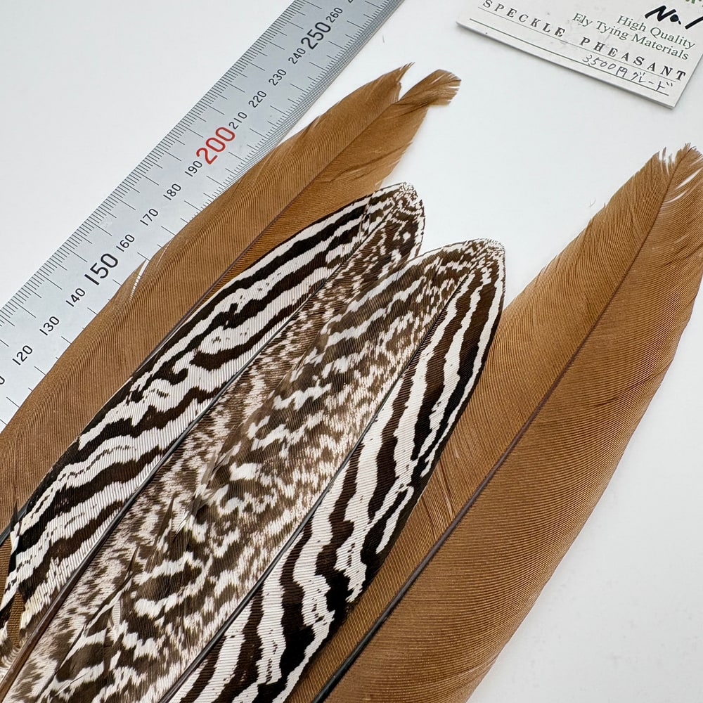 CANAL�ҡ����ڥå���ɥե�����ȥơ��� ��3500�ߥ��졼�ɡ� CN130