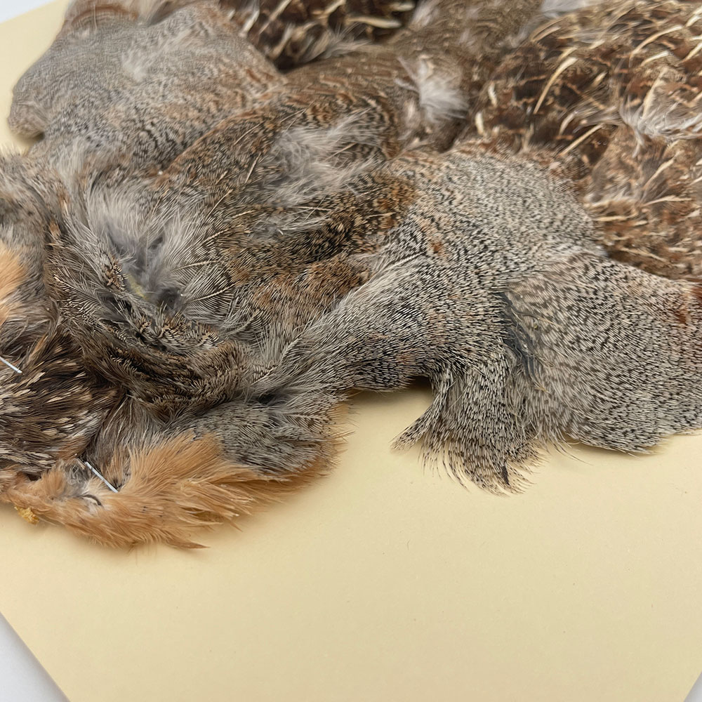 �ϥ󥬥ꥢ��ѡ��ȥ�å�������ץ꡼�ȥ����� SA NO.5