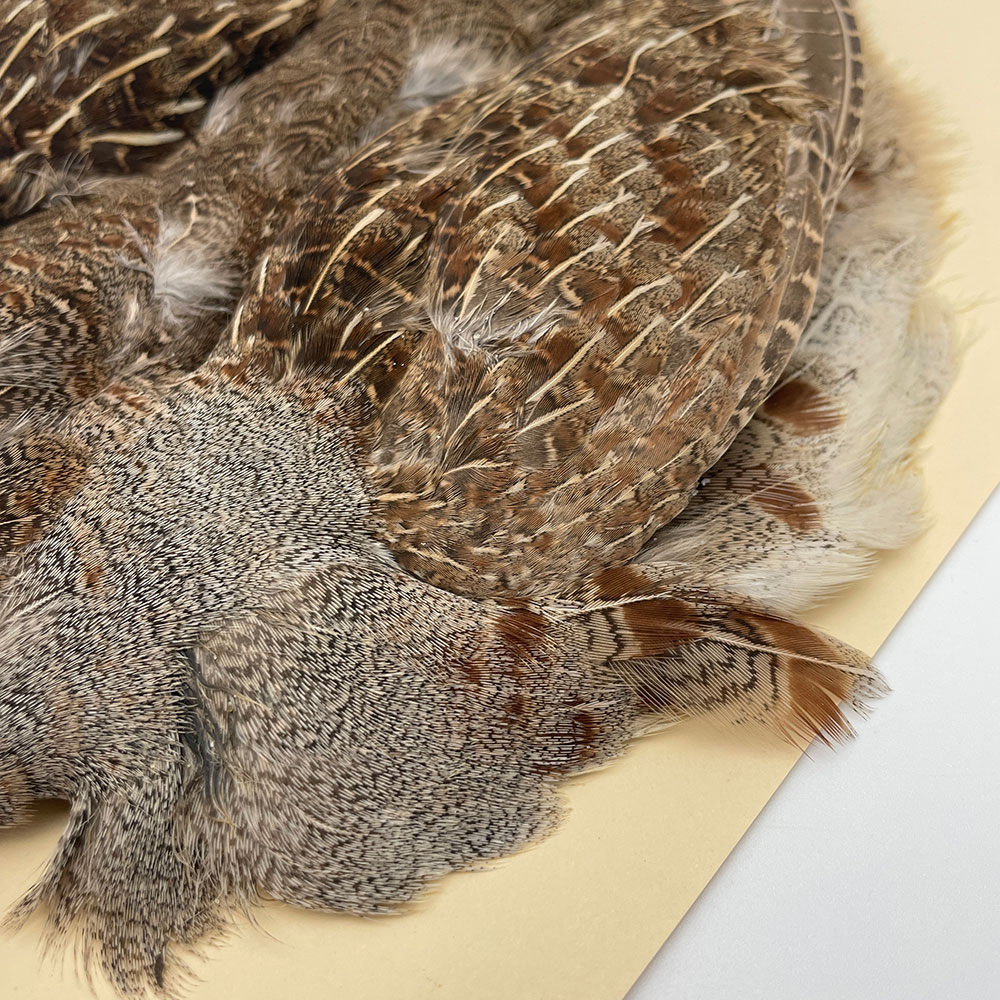 �ϥ󥬥ꥢ��ѡ��ȥ�å�������ץ꡼�ȥ����� SA NO.5