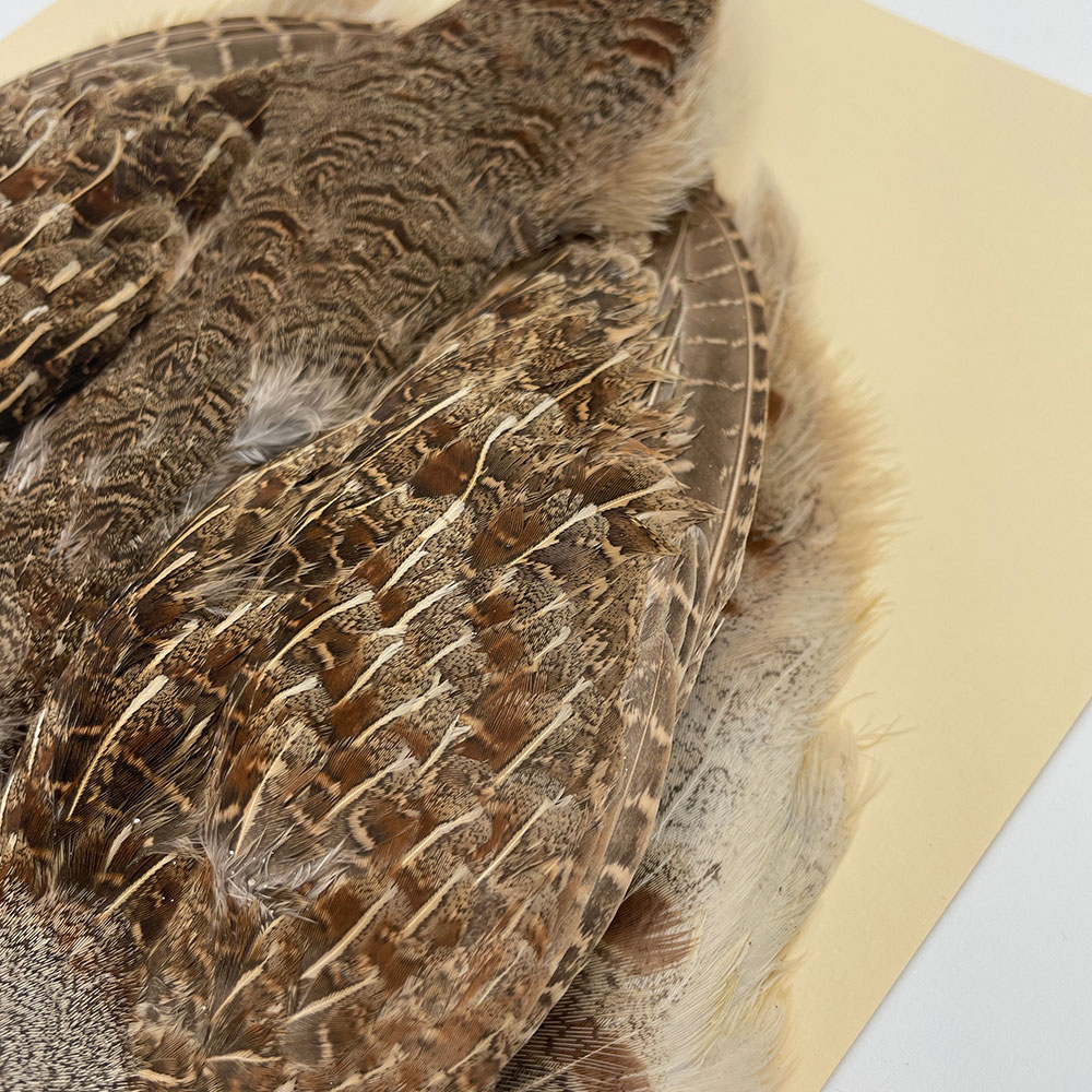 �ϥ󥬥ꥢ��ѡ��ȥ�å�������ץ꡼�ȥ����� SA NO.5