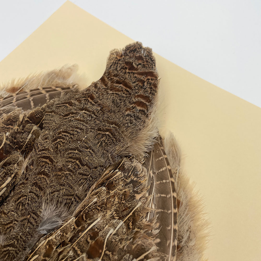 �ϥ󥬥ꥢ��ѡ��ȥ�å�������ץ꡼�ȥ����� SA NO.5