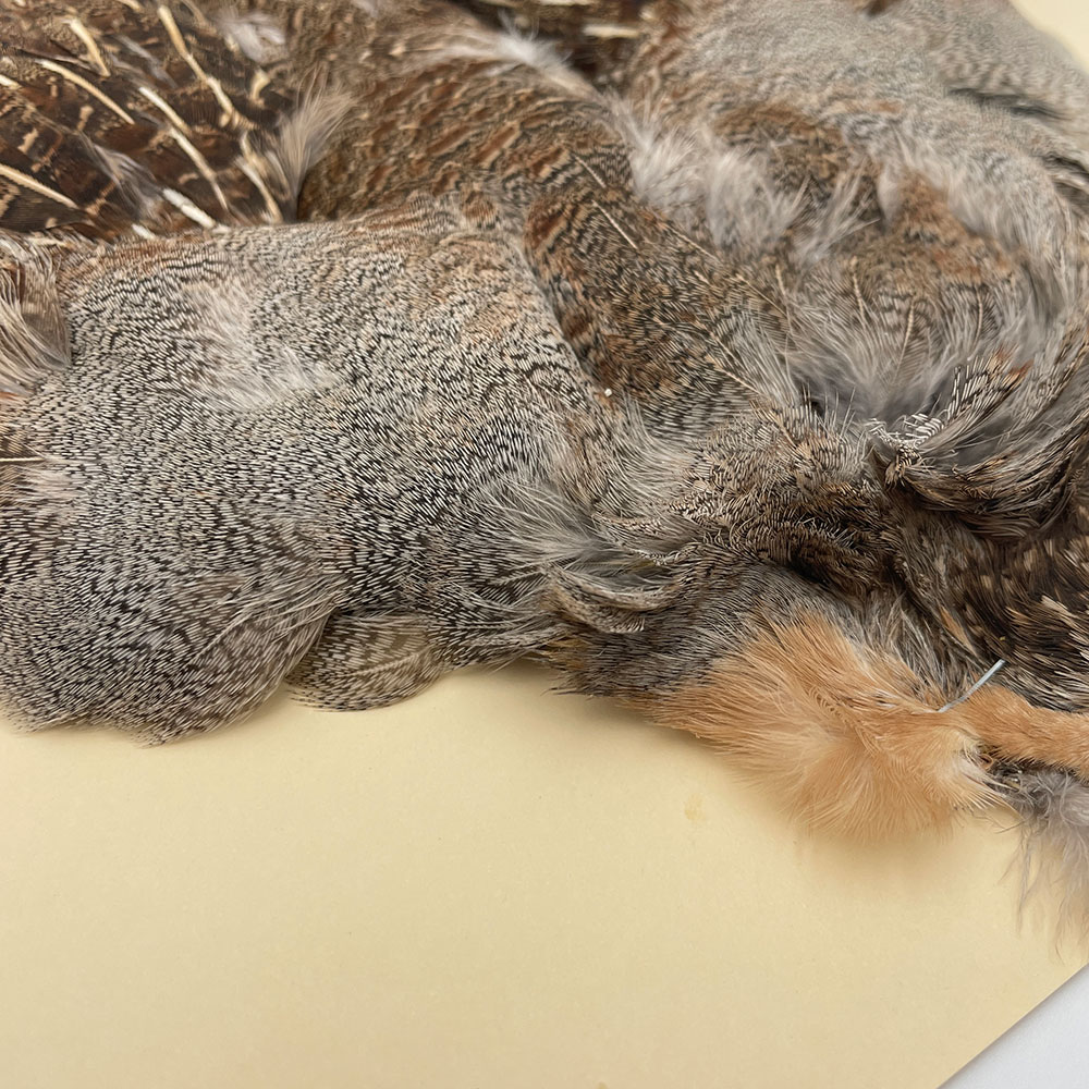 �ϥ󥬥ꥢ��ѡ��ȥ�å�������ץ꡼�ȥ����� SA NO.5