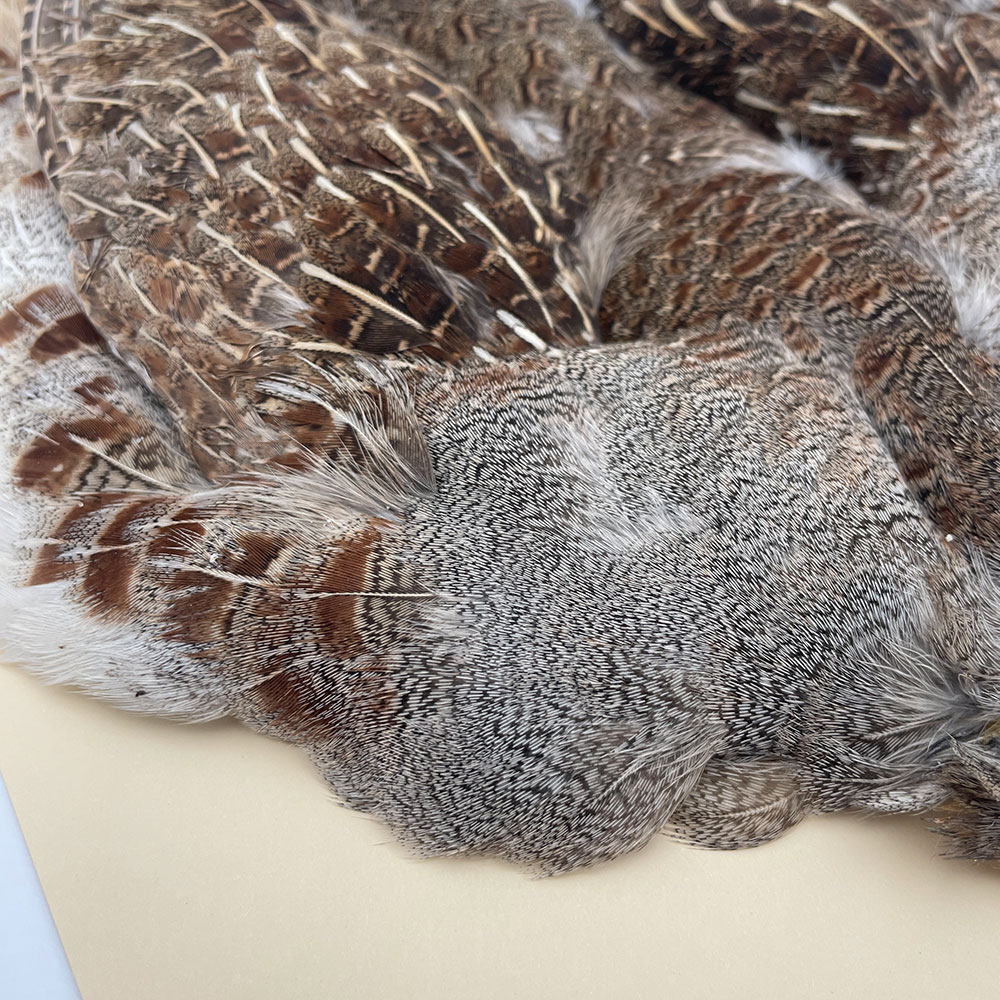 �ϥ󥬥ꥢ��ѡ��ȥ�å�������ץ꡼�ȥ����� SA NO.5