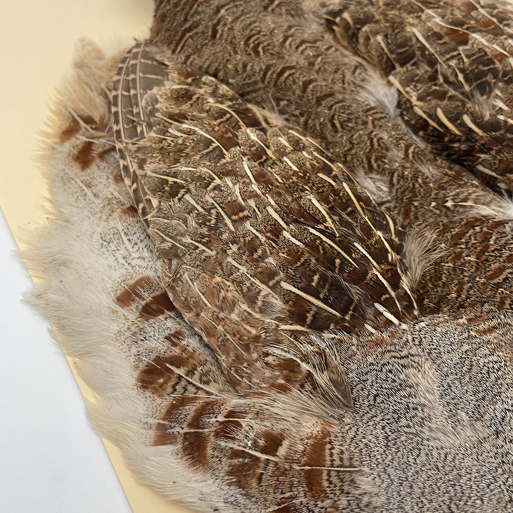 �ϥ󥬥ꥢ��ѡ��ȥ�å�������ץ꡼�ȥ����� SA NO.5