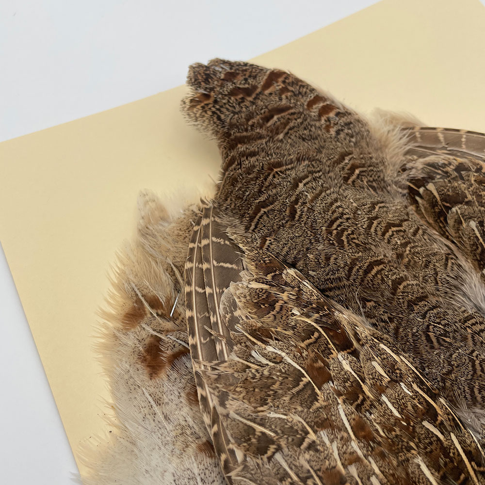 �ϥ󥬥ꥢ��ѡ��ȥ�å�������ץ꡼�ȥ����� SA NO.5