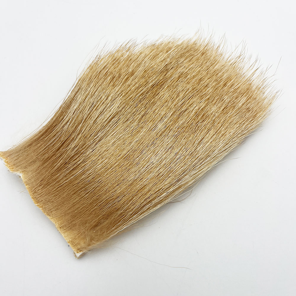 CANAL�ҡ�SELECT�֥륨�륯���֥꡼����CN84��