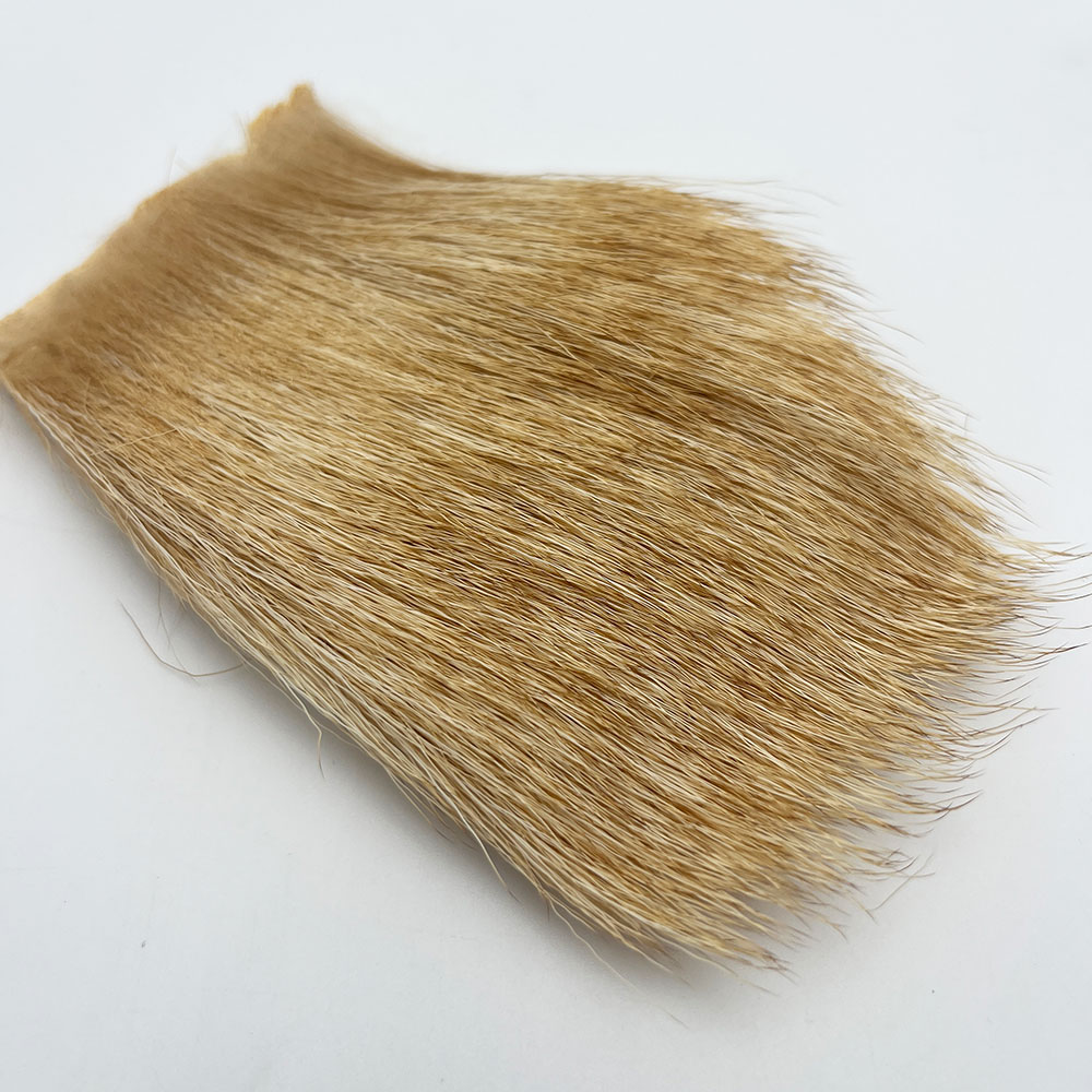 CANAL�ҡ�SELECT�֥륨�륯���֥꡼����CN84��