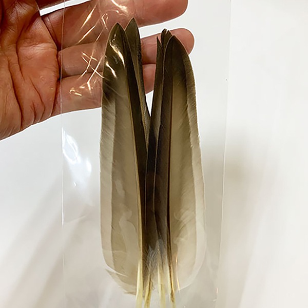 フライタイイングマテリアル　入手困難品　ジャングルコック&ポーラーベアー　AAA Hermit Fly Shop / 全商品