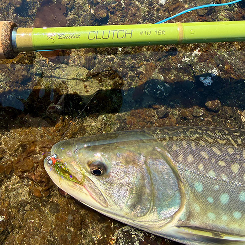 CLUTCH #10 (16ft)
